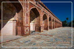 Humayun’s Tomb (49)