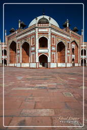 Humayun’s Tomb (96)