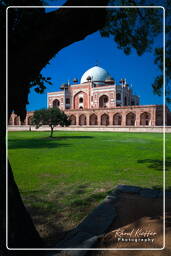 Humayun’s Tomb (147)