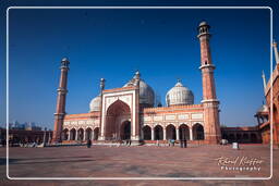 Jama Masjid (Delhi) (Delhi) (1)