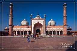 Jama Masjid (Delhi) (Delhi) (17)