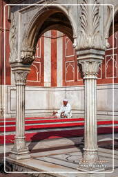 Jama Masjid (Delhi) (Delhi) (39)