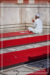 Jama Masjid (Delhi) (Delhi) (47)