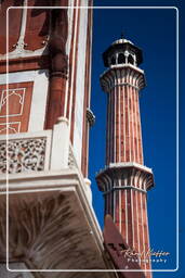 Jama Masjid (Delhi) (Delhi) (53)