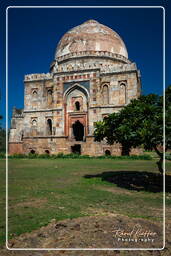 Lodi Gardens (1)