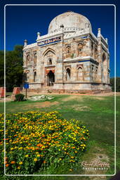 Lodi Gardens (40)