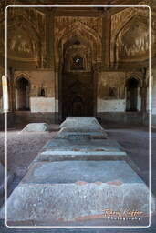 Lodi Gardens (49)