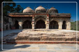 Lodi Gardens (66)