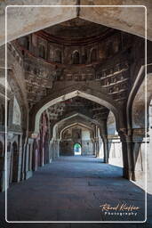 Lodi Gardens (70)