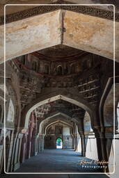 Lodi Gardens (71)