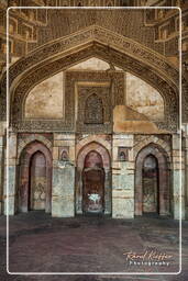 Lodi Gardens (84)