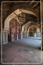 Lodi Gardens (89)