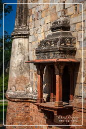 Lodi Gardens (92)