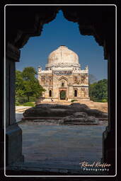 Lodi Gardens (94)