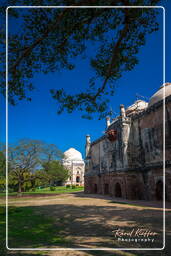 Lodi Gardens (95)