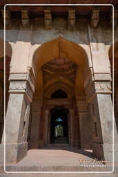 Lodi Gardens (100)