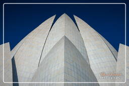 Lotus Temple (Baháʼí House of Worship) (11)
