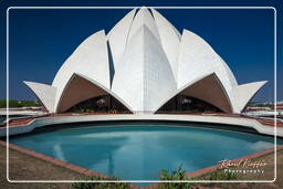 Templo del Loto (Casa de Adoración Bahá’í) (17)