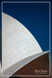 Lotus Temple (Baháʼí House of Worship) (25)