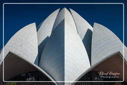 Templo del Loto (Casa de Adoración Bahá’í) (29)