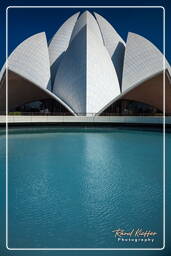 Lotus Temple (Baháʼí House of Worship) (40)