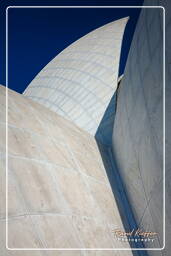 Lotus Temple (Baháʼí House of Worship) (48)