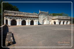 Parque arqueológico Mehrauli (5)