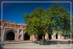 Parco archeologico Mehrauli (23)