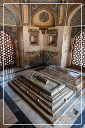 Mehrauli archaeological park (49)