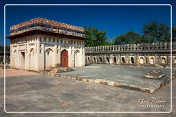 Parc archéologique de Mehrauli (64)