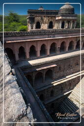 Parc archéologique de Mehrauli (74)