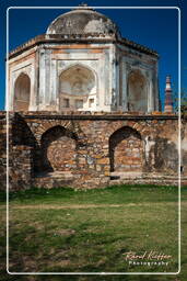 Mehrauli archäologischer Park (76)