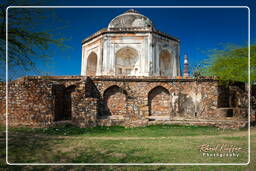 Mehrauli archäologischer Park (78)