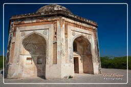 Parque arqueológico Mehrauli (83)