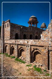 Parque arqueológico Mehrauli (117)