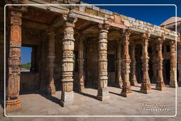 Qutb Minar (38)