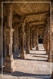 Qutb Minar (47)