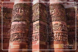 Qutb Minar (136)