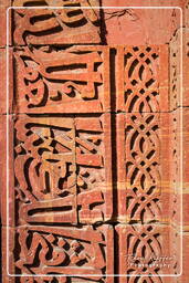 Qutb Minar (164)