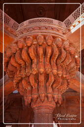 Diwan-i-Khas, Fatehpur Sikri (45)