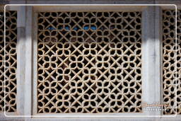 Tomb of Salim Chisti, Jama Masjid (Fatehpur Sikri) (52)
