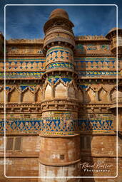 Gwalior (20) Forte di Gwalior