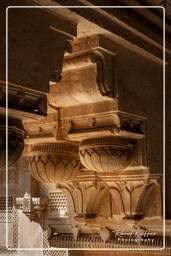 Gwalior Fort, Gwalior (81)