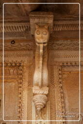 Gwalior Fort, Gwalior (88)