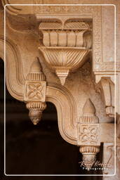 Gwalior Fort, Gwalior (92)