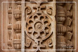 Gwalior Fort, Gwalior (94)