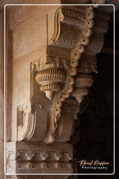 Gwalior Fort, Gwalior (106)