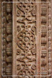 Gwalior Fort, Gwalior (107)