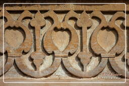 Gwalior Fort, Gwalior (113)