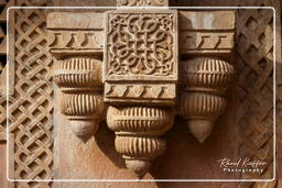 Gwalior Fort, Gwalior (118)